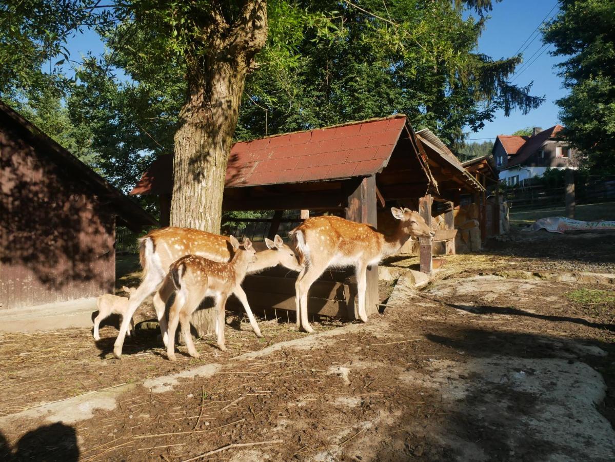 Penzion Obora Prostřední Bečva Eksteriør billede